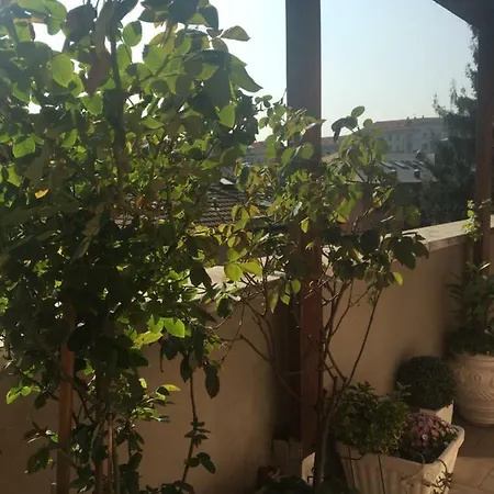 Green Park Con Terrazzino. Box Auto Gratuito. Apartment Turin